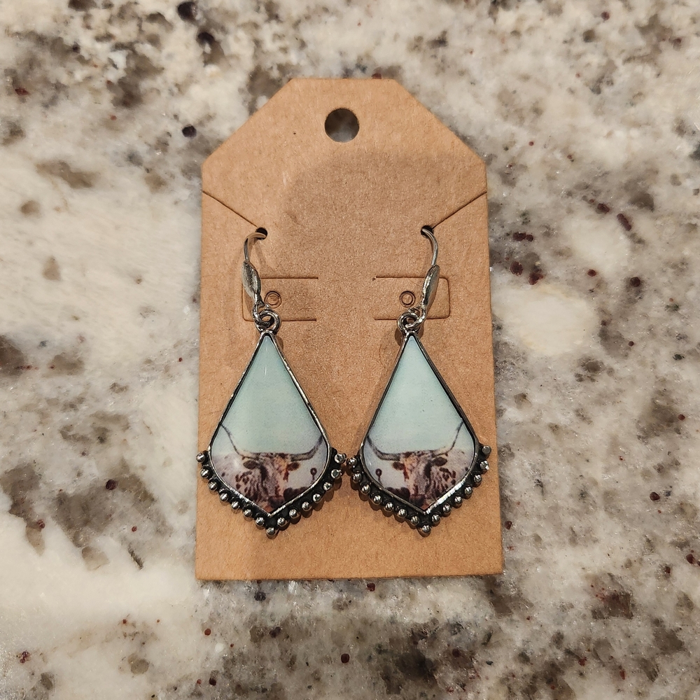 Elegant Silver and Blue Teardrop Earrings